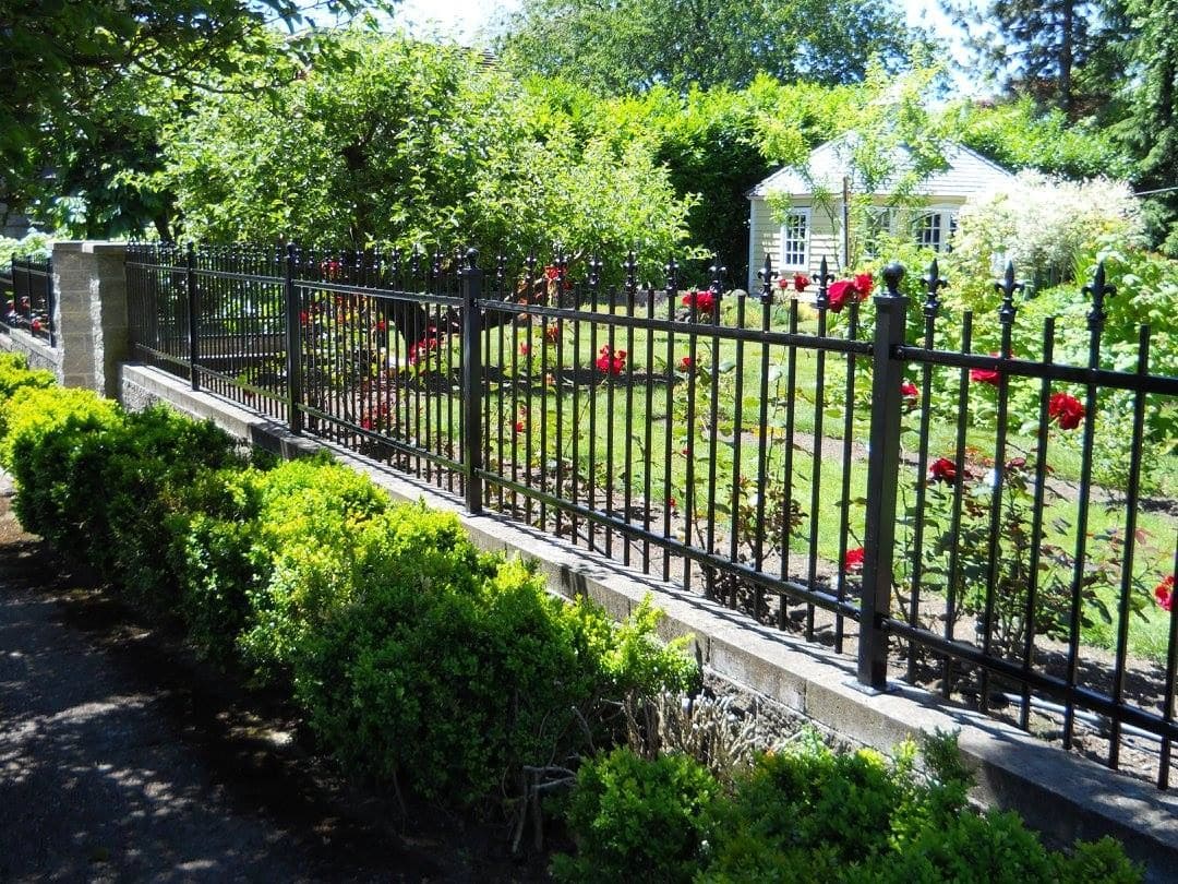 A fence with roses growing on it