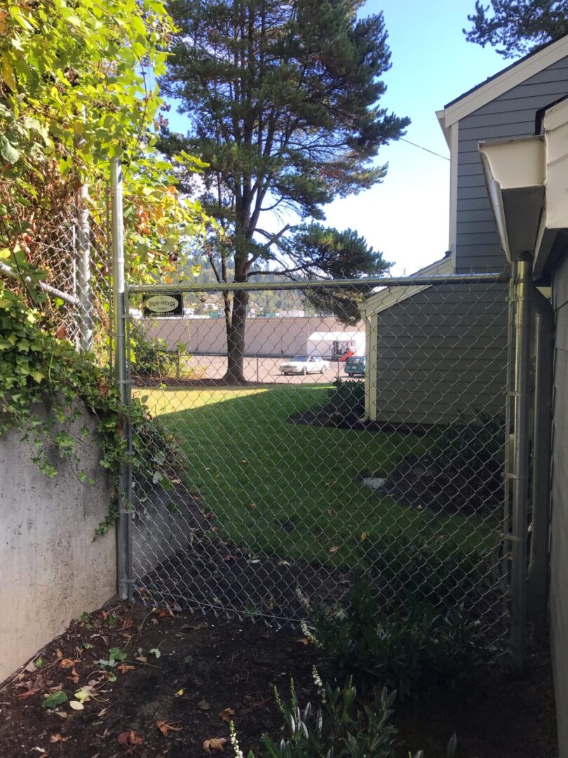A fence with grass growing on it and bushes in the background.
