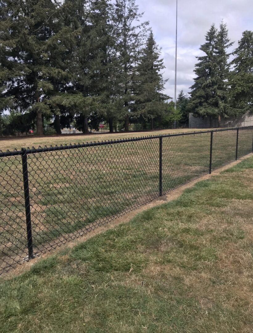 A fence that is in the grass near some trees.