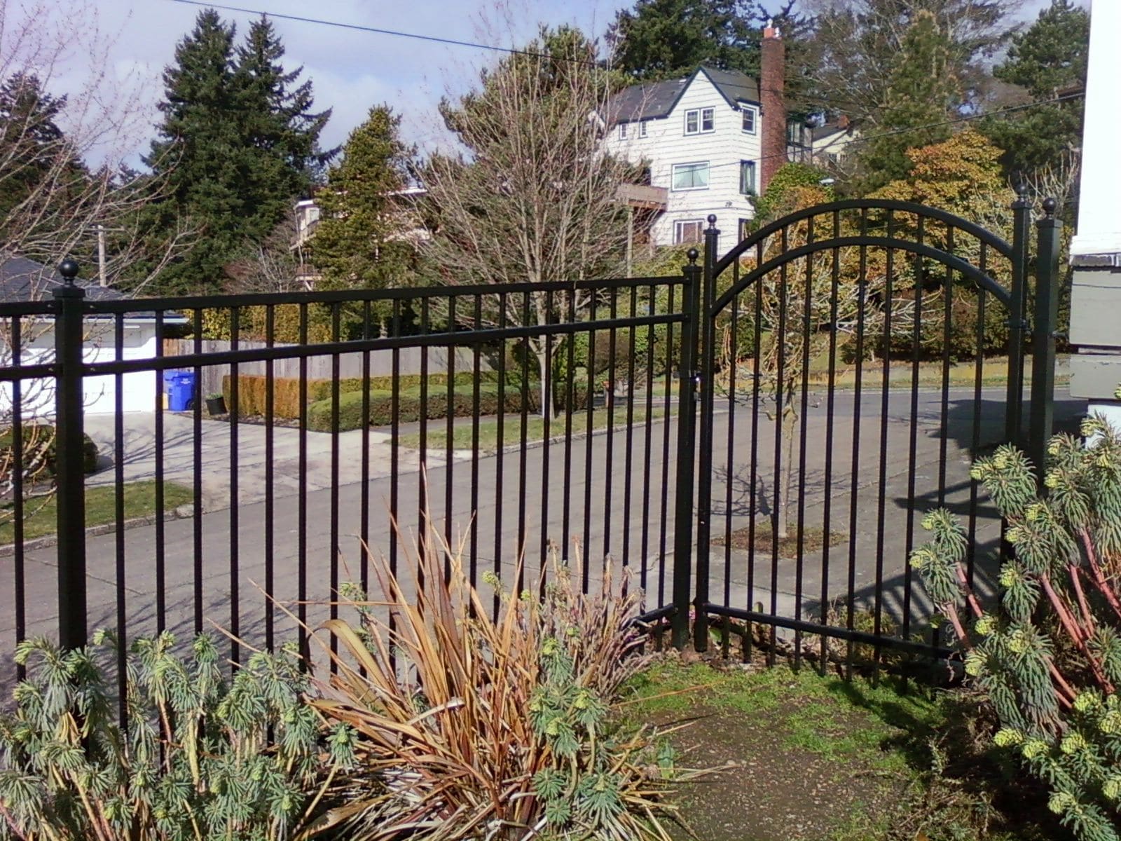A black fence with a gate and bushes in front of it.