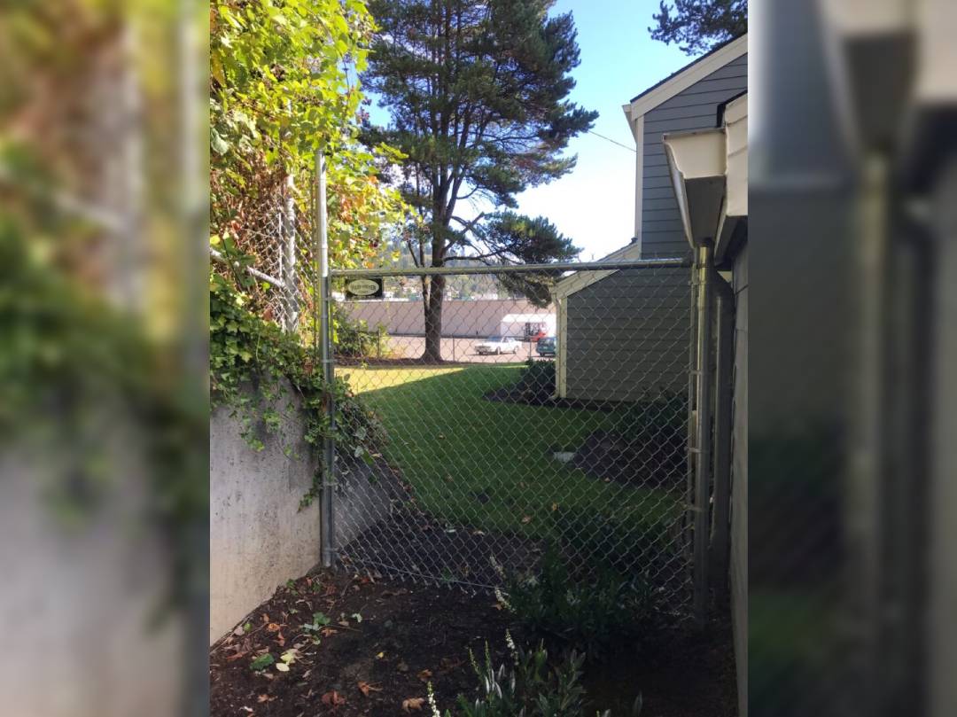 A view of the back yard from behind a fence.