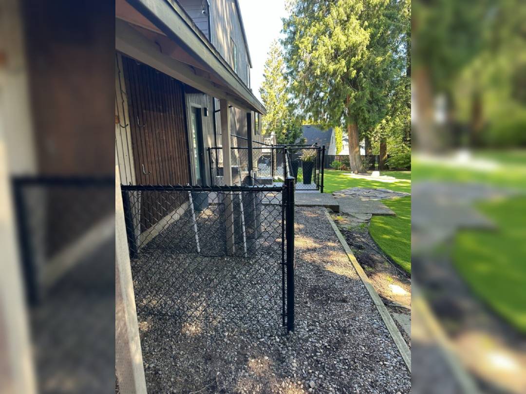 A black chain link fence with trees in the background.